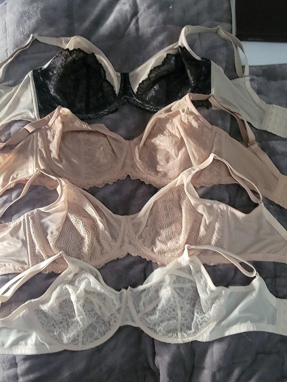 4 HSIA 36H Lace Bras